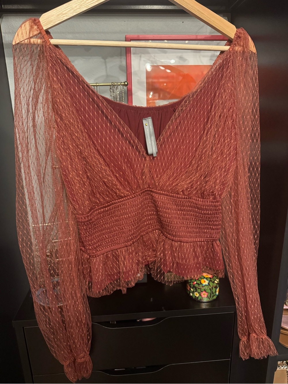 Anthropologie Burnt Sienna Sheer V-Neck Romantic Puff Sleeve Blouse π₯π€ - Picture 3 of 7